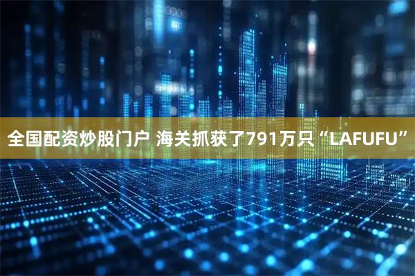 全国配资炒股门户 海关抓获了791万只“LAFUFU”